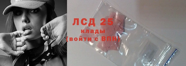 PSILOCYBIN Козельск