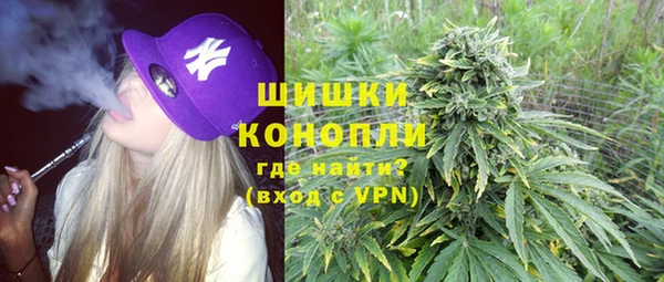 мдпв Козловка