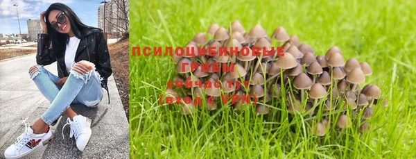 мяу мяу мука Кодинск