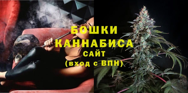 мдпв Козловка