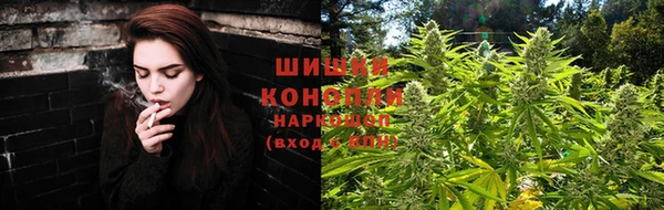PSILOCYBIN Козельск